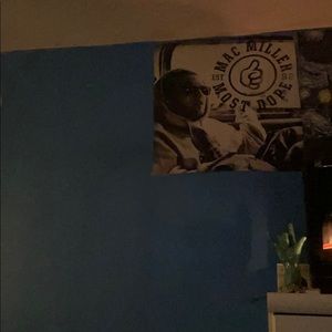 Meet your Posher, Izzy